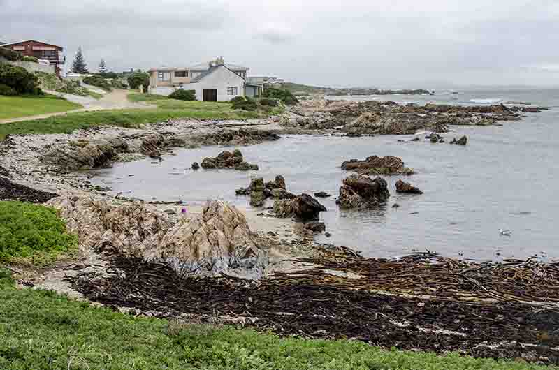 85 - Sudafrica - Gansbaai - costa